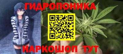 метадон Кимры